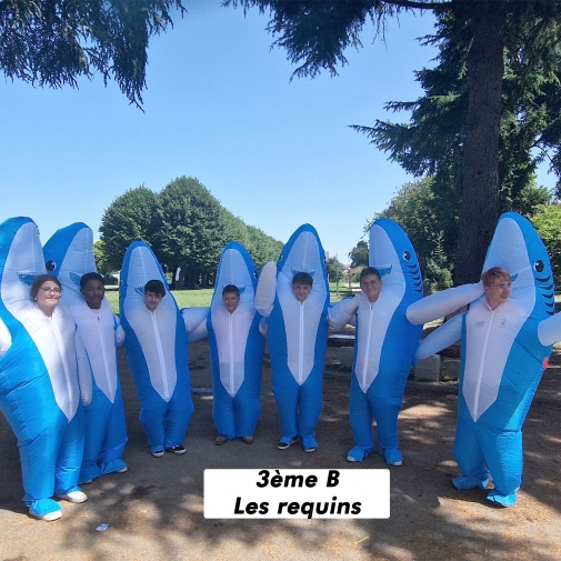 Actualités Actualités - Évènements