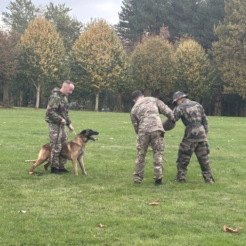 Actualités Actualités - Évènements