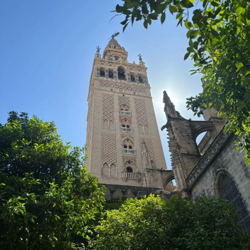 Actualités Actualités - Évènements