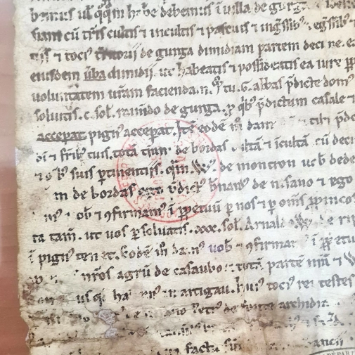 Actualités Actualités - Évènements