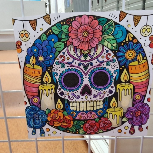 Actualités Actualités - Évènements