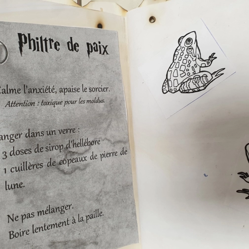 Actualités Actualités - Évènements