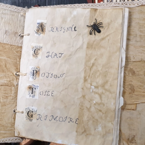 Actualités Actualités - Évènements