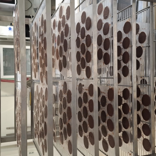 Actualités Actualités - Évènements