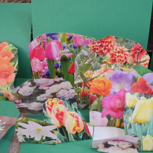 Œuvres des Élémentaires