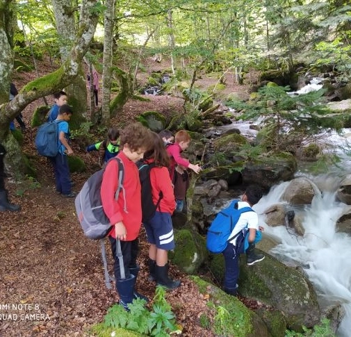 Actualités Actualités - Évènements