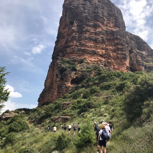 Actualités Actualités - Évènements