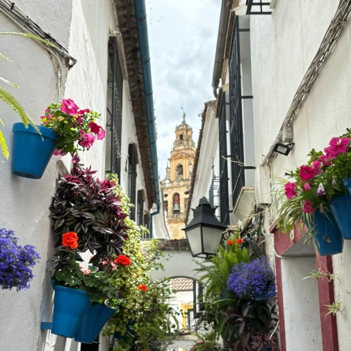 Actualités Actualités - Évènements