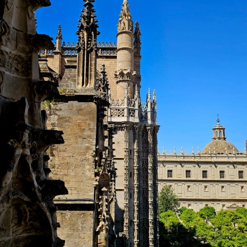 Actualités Actualités - Évènements