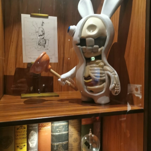 Actualités Actualités - Évènements