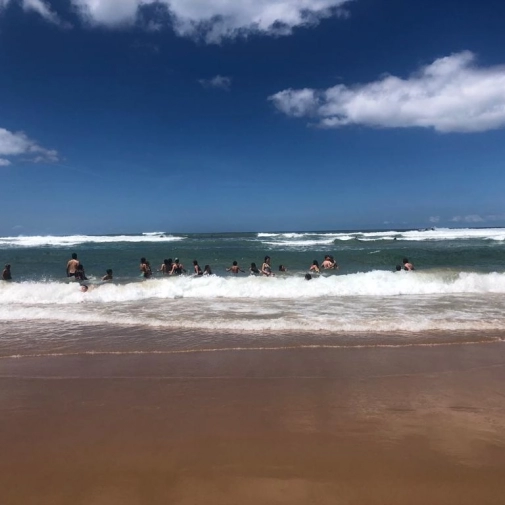 Actualités Actualités - Évènements