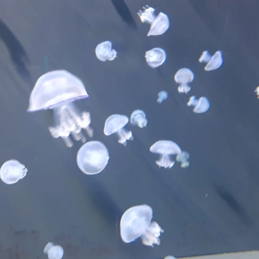 Actualités Actualités - Évènements