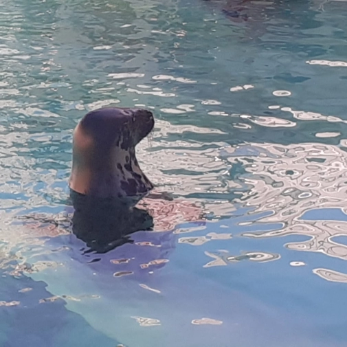 Actualités Actualités - Évènements