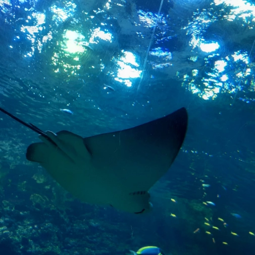 Actualités Actualités - Évènements