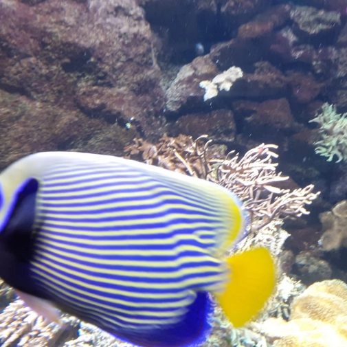 Actualités Actualités - Évènements