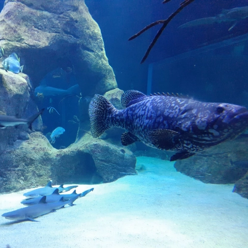 Actualités Actualités - Évènements