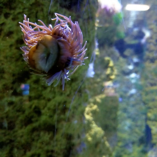 Actualités Actualités - Évènements