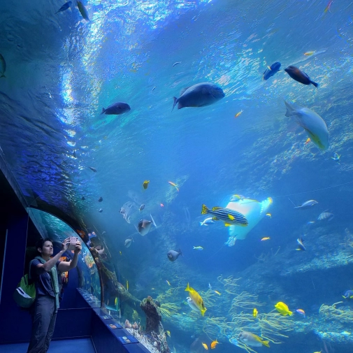 Actualités Actualités - Évènements