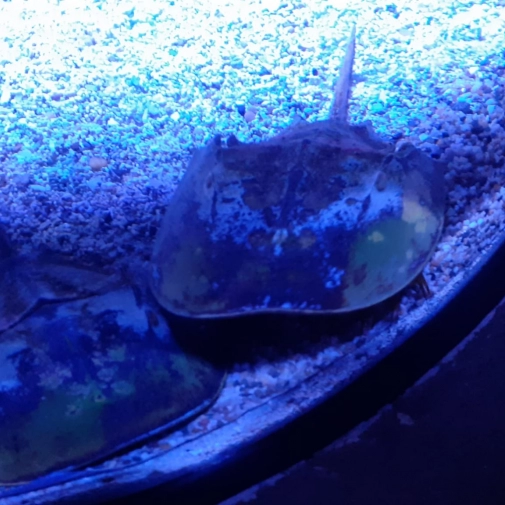 Actualités Actualités - Évènements