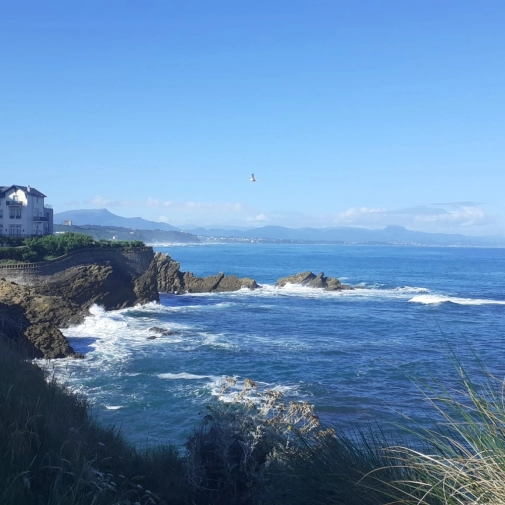 Actualités Actualités - Évènements