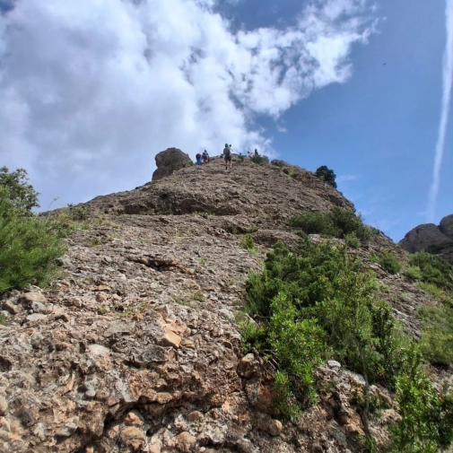 Actualités Actualités - Évènements