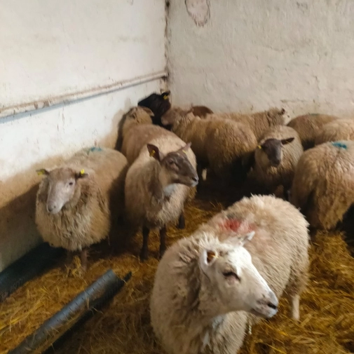 Jour 3-  Mercredi 18 Février