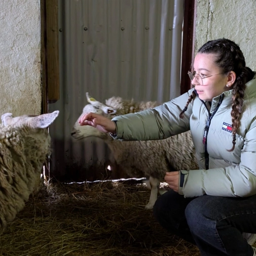 Jour 3-  Mercredi 18 Février