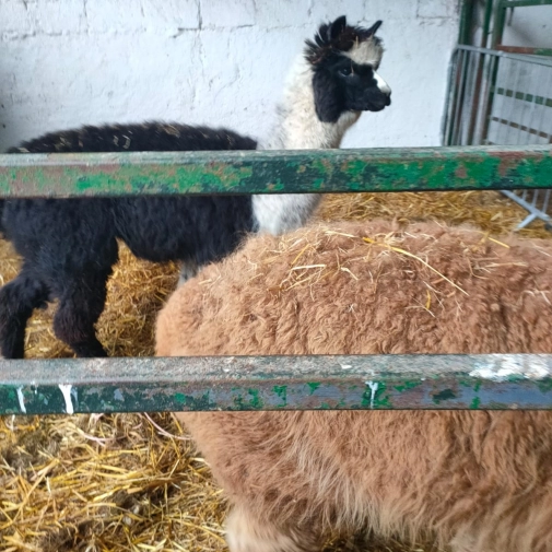 Jour 3-  Mercredi 18 Février