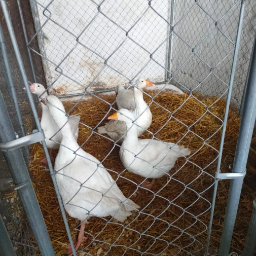 Jour 3-  Mercredi 18 Février