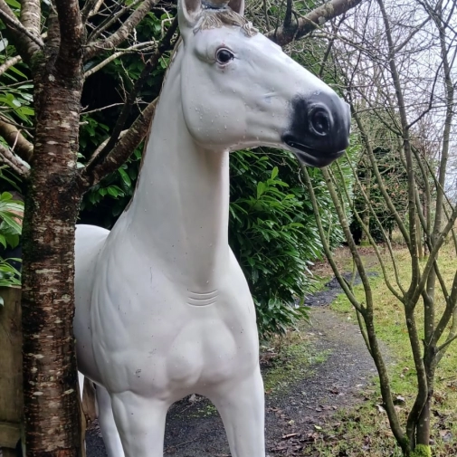 Jour 3-  Mercredi 18 Février