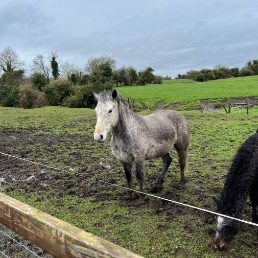 Jour 3-  Mercredi 18 Février