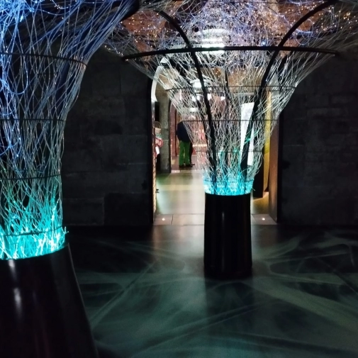 Jour 2 : Mardi 17 Février 2026