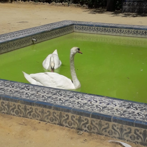 Actualités Actualités - Évènements