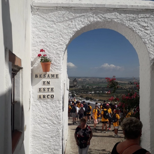 Actualités Actualités - Évènements