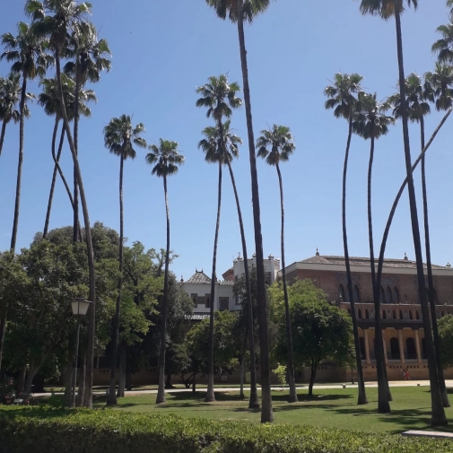 Actualités Actualités - Évènements