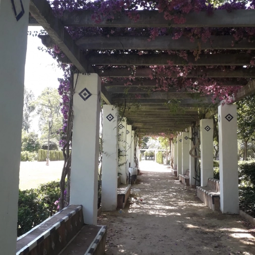 Actualités Actualités - Évènements