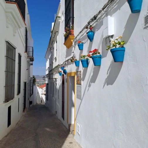 Actualités Actualités - Évènements