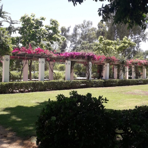 Actualités Actualités - Évènements