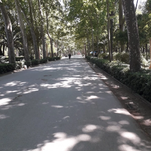 Actualités Actualités - Évènements