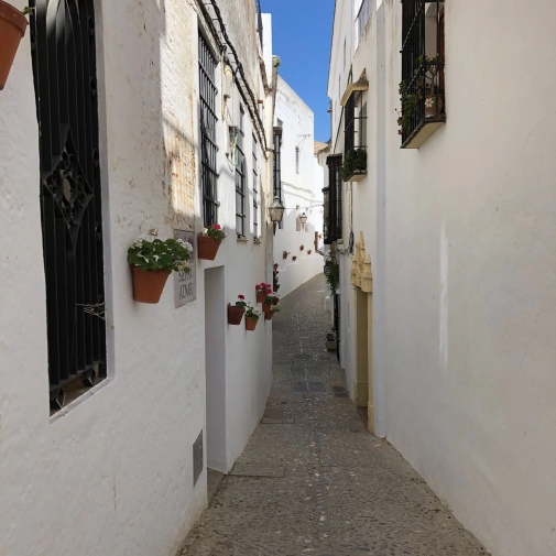 Actualités Actualités - Évènements