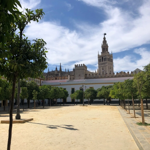 Actualités Actualités - Évènements