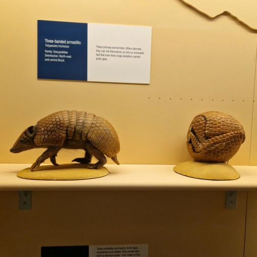 Actualités Actualités - Évènements