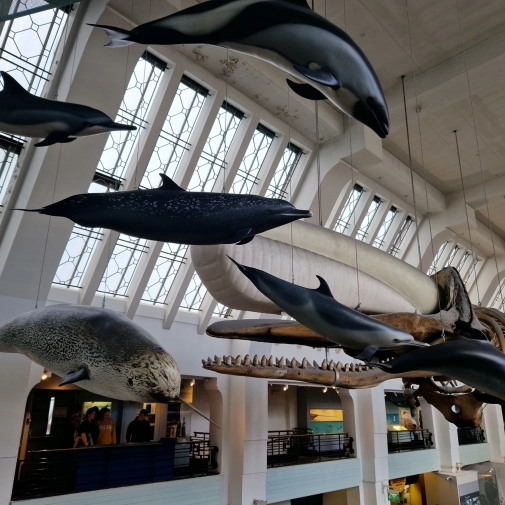 Actualités Actualités - Évènements