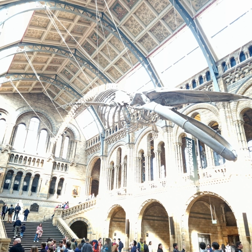 Actualités Actualités - Évènements