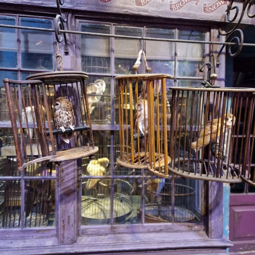 Actualités Actualités - Évènements