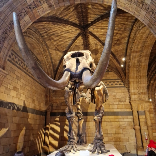 Actualités Actualités - Évènements