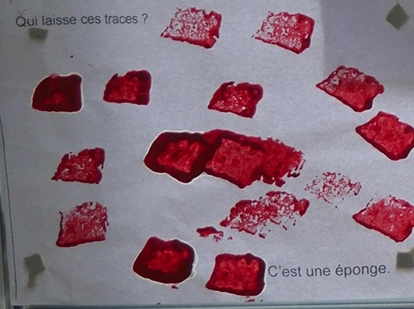 Actualités Actualités - Évènements