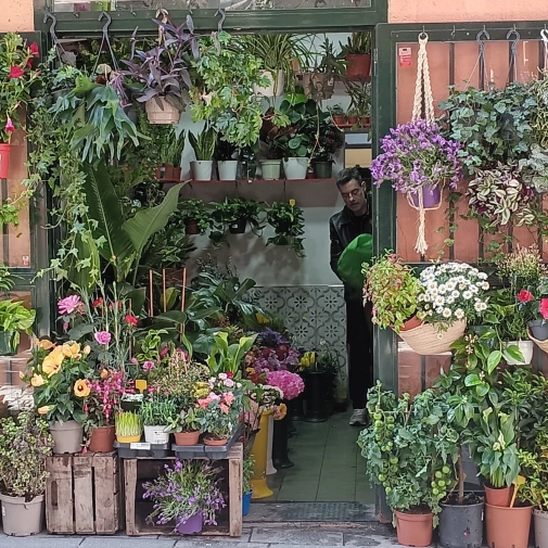 Actualités Actualités - Évènements