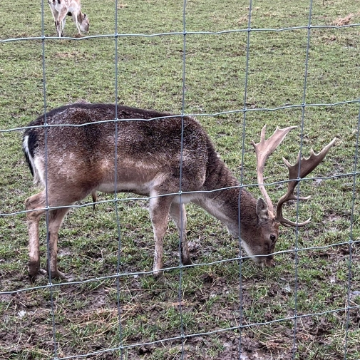 Jour 3-  Mercredi 18 Février