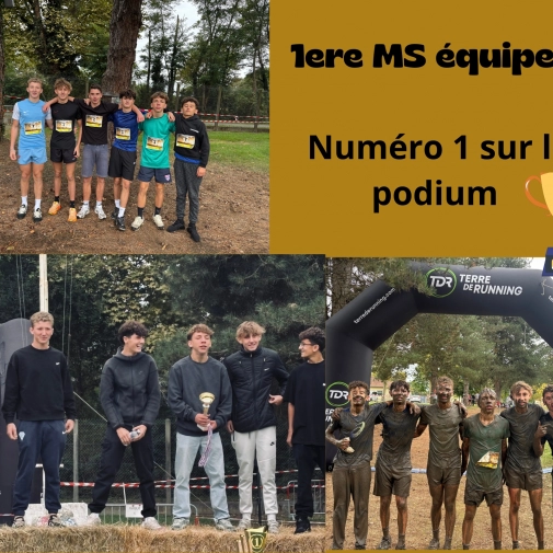 Actualités Actualités - Évènements